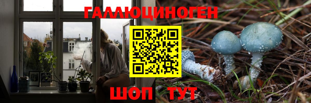 Псилоцибиновые грибы ЛСД  где купить наркотик  Заводоуковск  Вход с VPN 